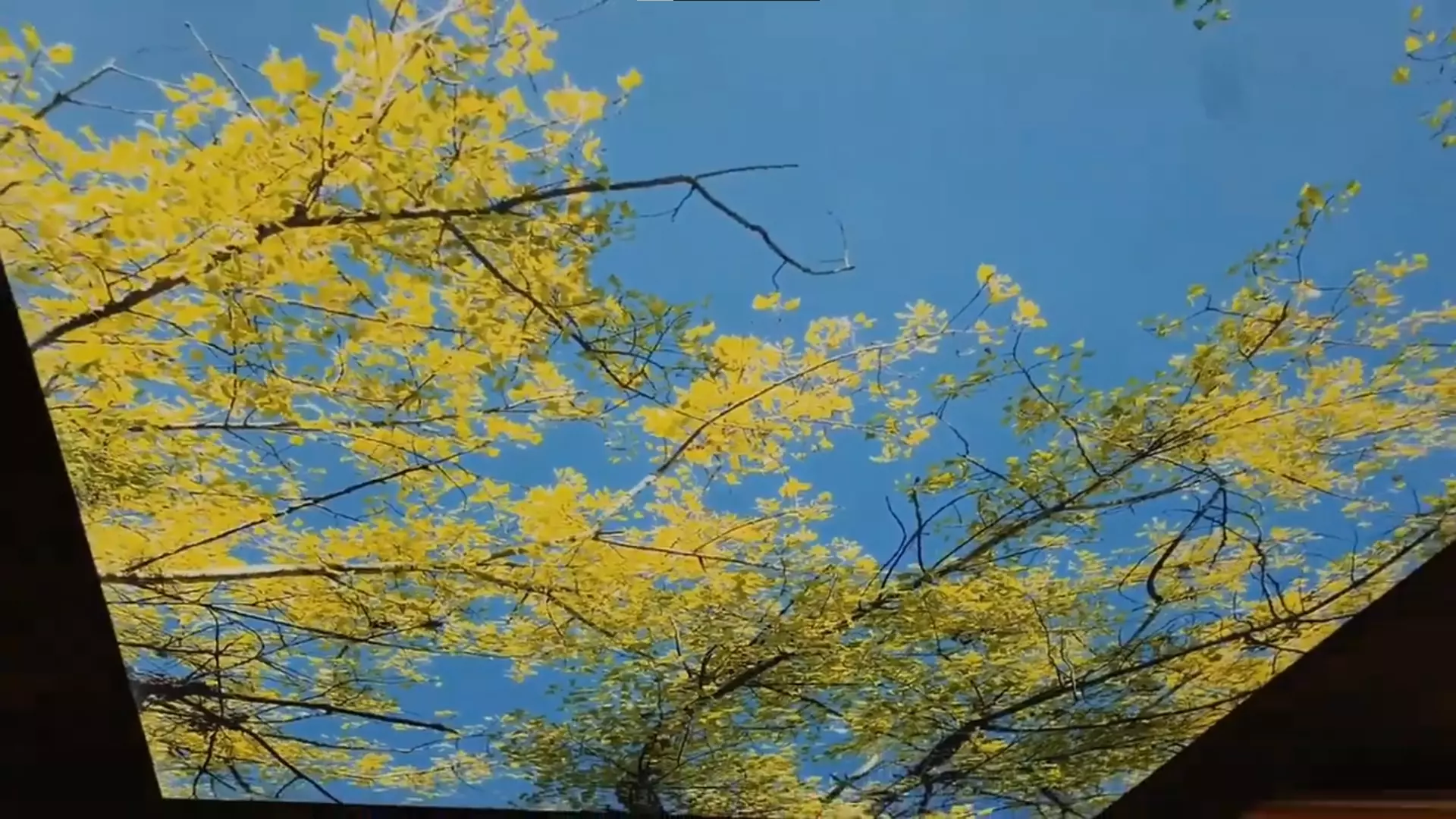 Пятигорск, Нежнова, 21 к3, фото 2